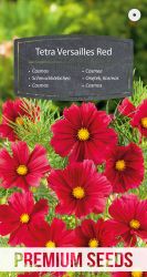 Cosmos Tetra Versailles Red Seeds